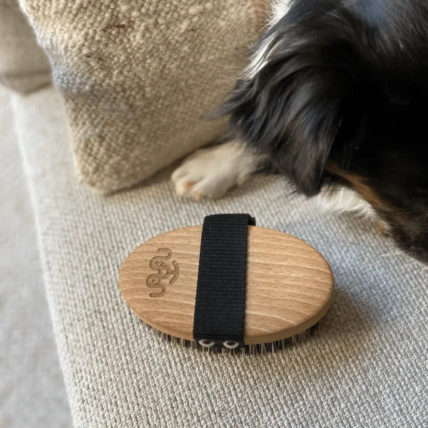 Brosse pour chien avec poignée en sangle noire, conçue en bois naturel et dotée de poils rigides pour entretenir les pelages courts. Idéale pour éliminer les poils morts et stimuler la peau.