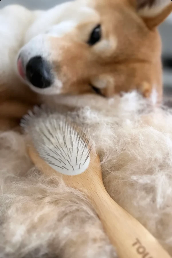 Brosse double face pour chien, en bois naturel, avec un côté en poils doux pour un brossage délicat et un côté en picots métalliques pour démêler efficacement le pelage. Marquée du logo 'TOUTOU' sur le manche.