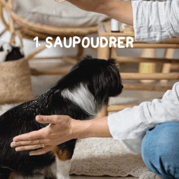 shampoing sec bio toutou pet care