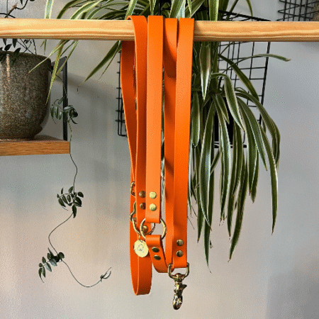 Laisse multi-positions imperméable <br> Orange <br>