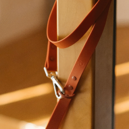 Laisse imperméable Chesnut