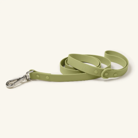 Laisse imperméable Matcha