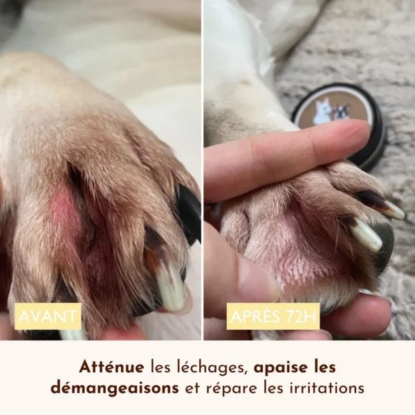 Baume Le Miraculeux – Image 4
