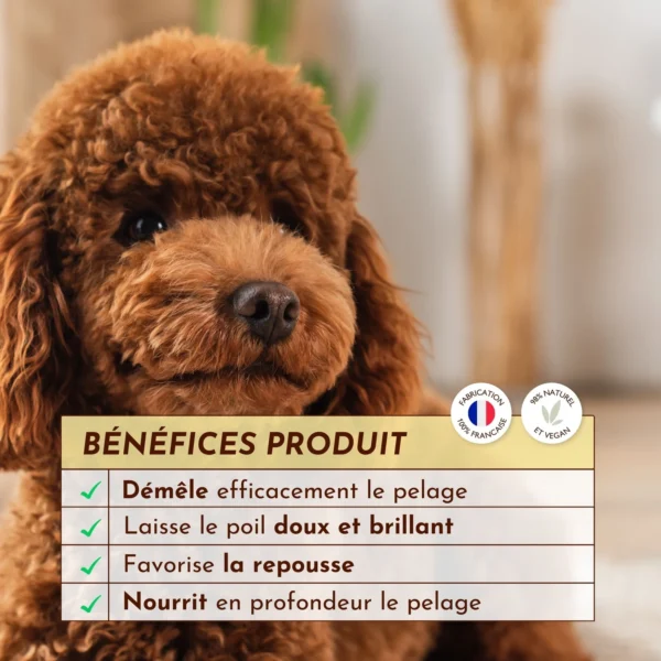Lotion démêlante Rebel – Image 3
