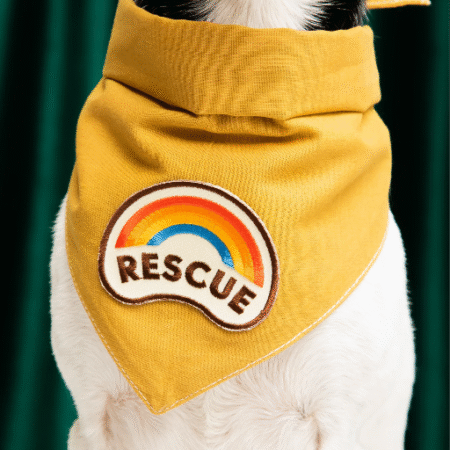 Badge thermocollant Rescue