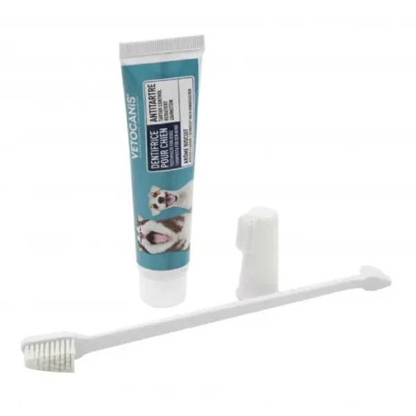 Kit dentaire avec une brosse à dent pour chiens et un dentifrice goût biscuit