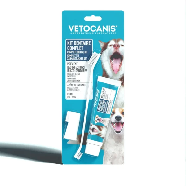 Kit dentaire avec une brosse à dent pour chiens et un dentifrice goût biscuit