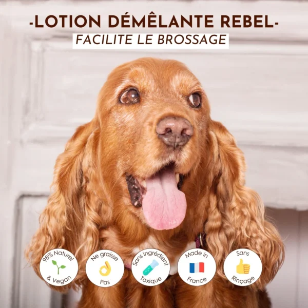 Lotion démêlante Rebel – Image 2