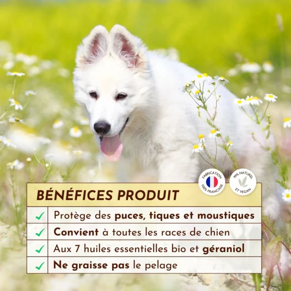 Lotion antiparasitaire La croisière <br> sans bête – Image 3