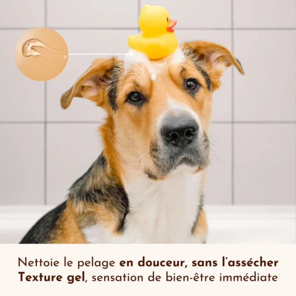 Shampoing tous pelages Poils de velours – Image 4