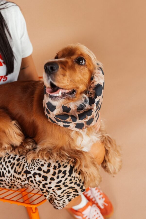 Snood en coton à motif léopard