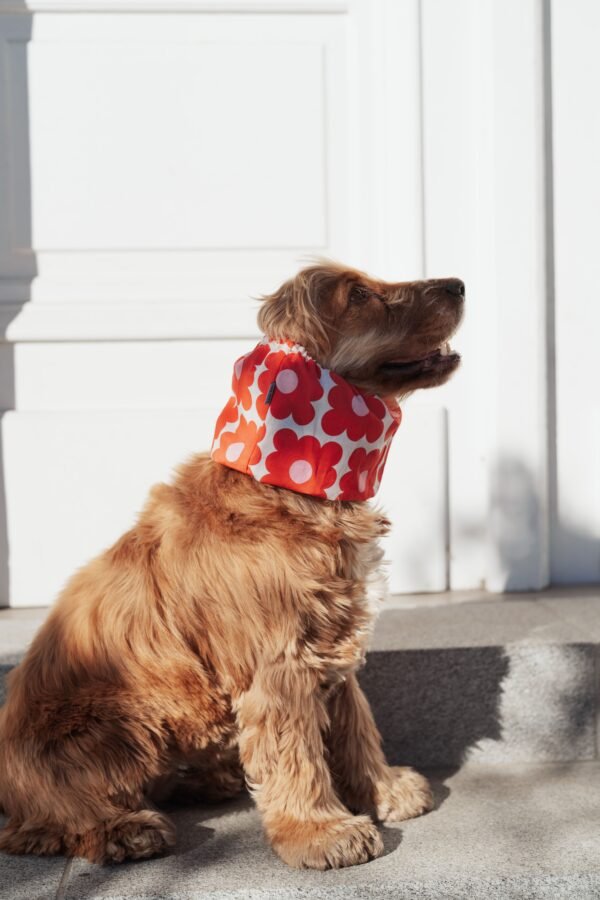 Snood en coton à motifs fleurs rouges