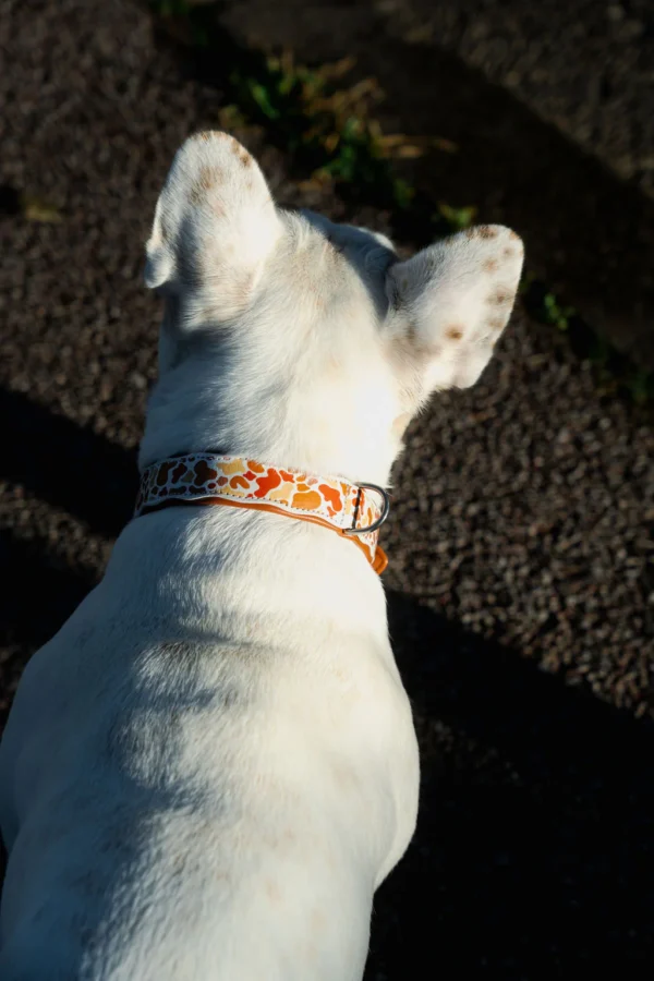 Collier Sunny – Image 3