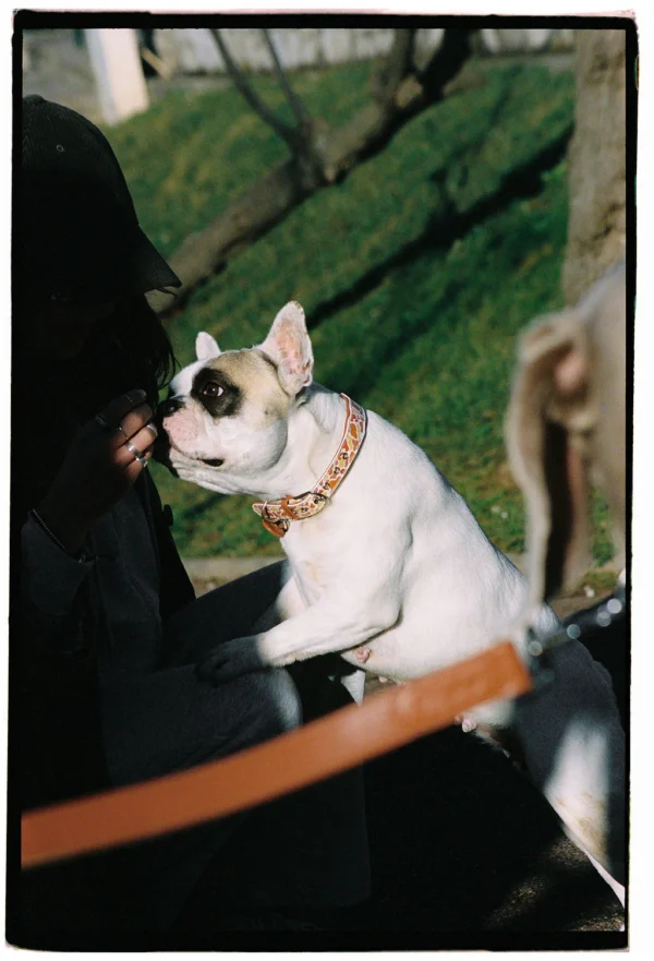 Collier Sunny – Image 7
