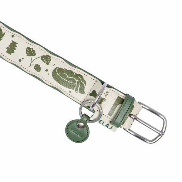 Collier Home – Image 7