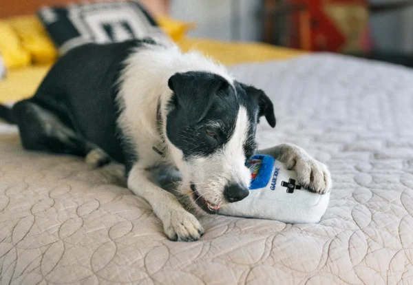 Peluche Game Boy – Image 4