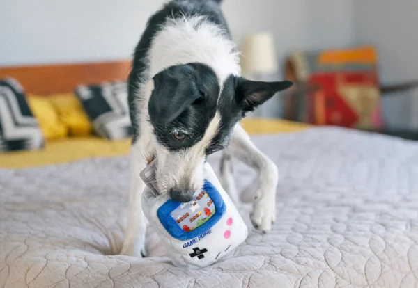 Peluche Game Boy – Image 5