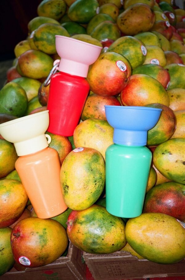Gourde de voyage bi-colore rétractable – Image 2