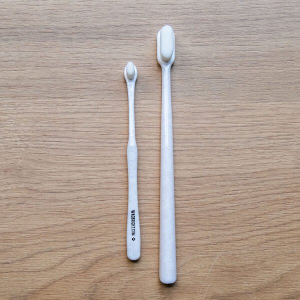 Brosse à dents – Image 3