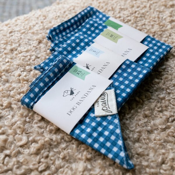 Bandana à nouer Blue Gingham – Image 4