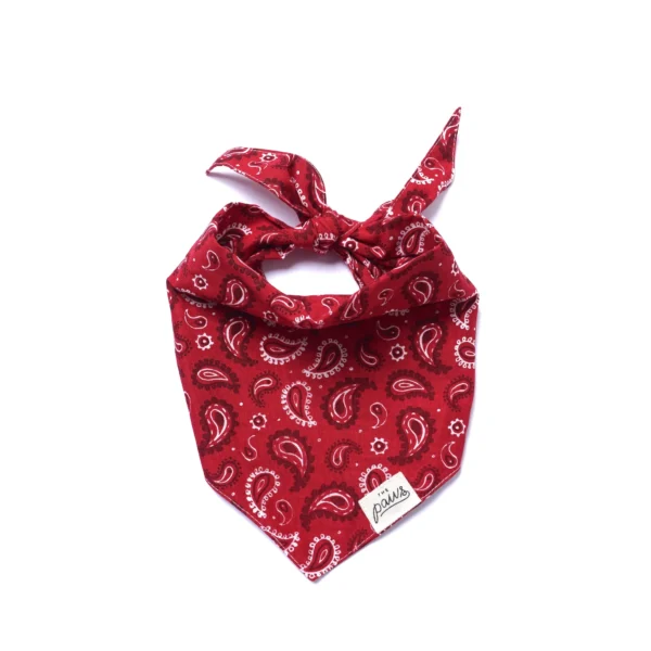 Bandana à nouer Dallas