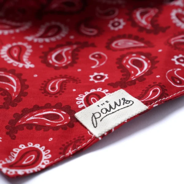 Bandana à nouer Dallas – Image 3