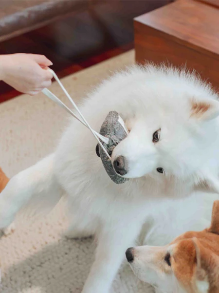 Jouet de fouille Cassette audio – Image 3