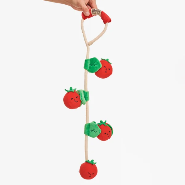 Jouet de fouille Tomates cerises