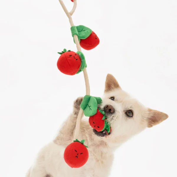 Jouet de fouille Tomates cerises – Image 2
