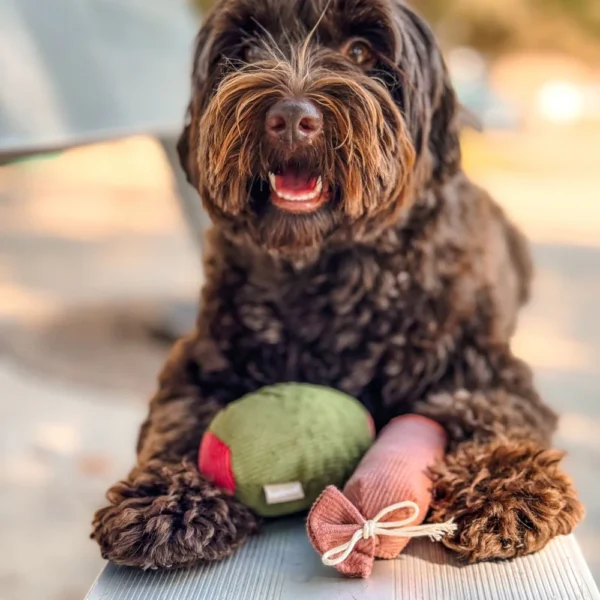 Peluche Olive et salami – Image 2