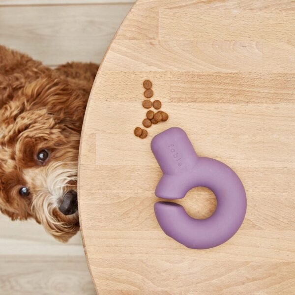 Jouet interactif et distributeur de friandises