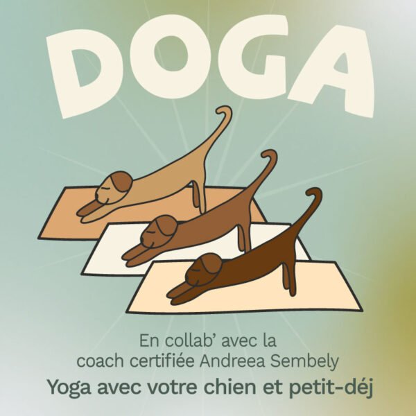 Séance Yoga avec ton chien le 11 mai 🐶🧘‍♀️