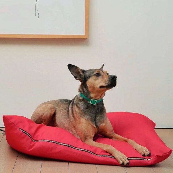 Coussin rouge