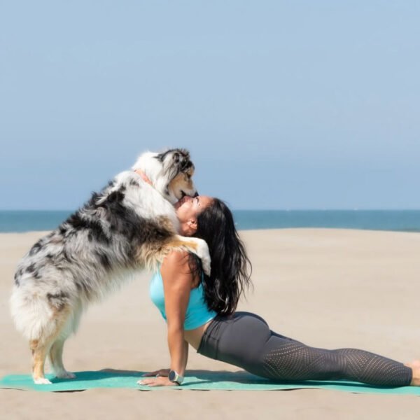 Séance Yoga avec ton chien le 11 mai 🐶🧘‍♀️ – Image 3