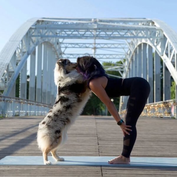 Séance Yoga avec ton chien le 11 mai 🐶🧘‍♀️ – Image 2