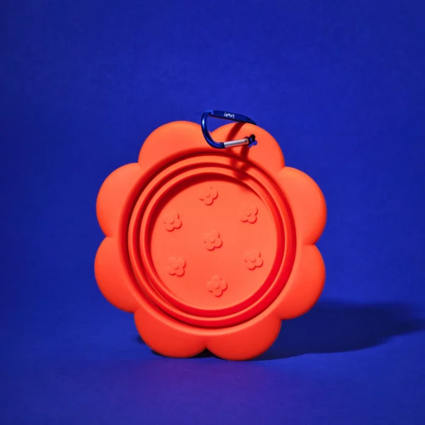 Gamelle de voyage en silicone
