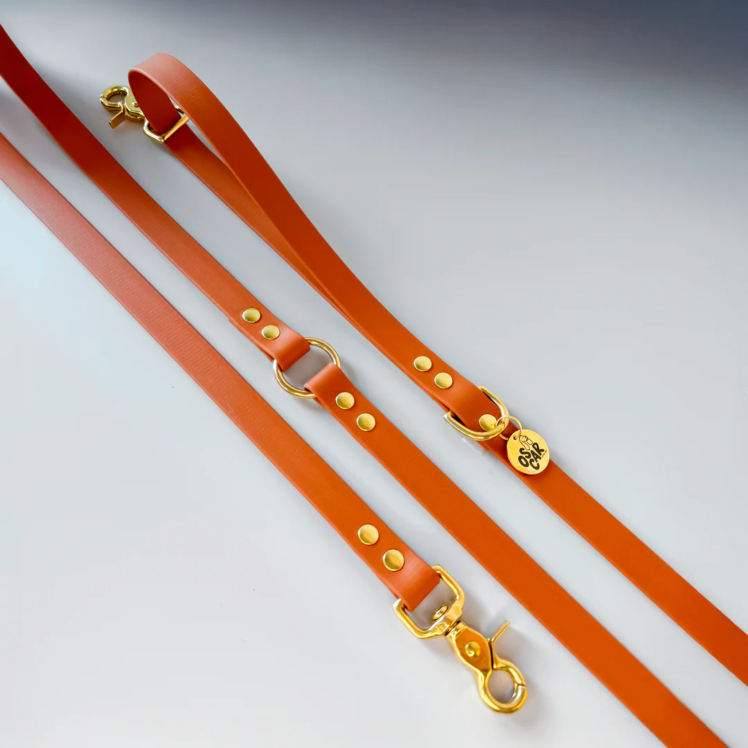 Laisse multi-positions en BioThane® <br>Orange
