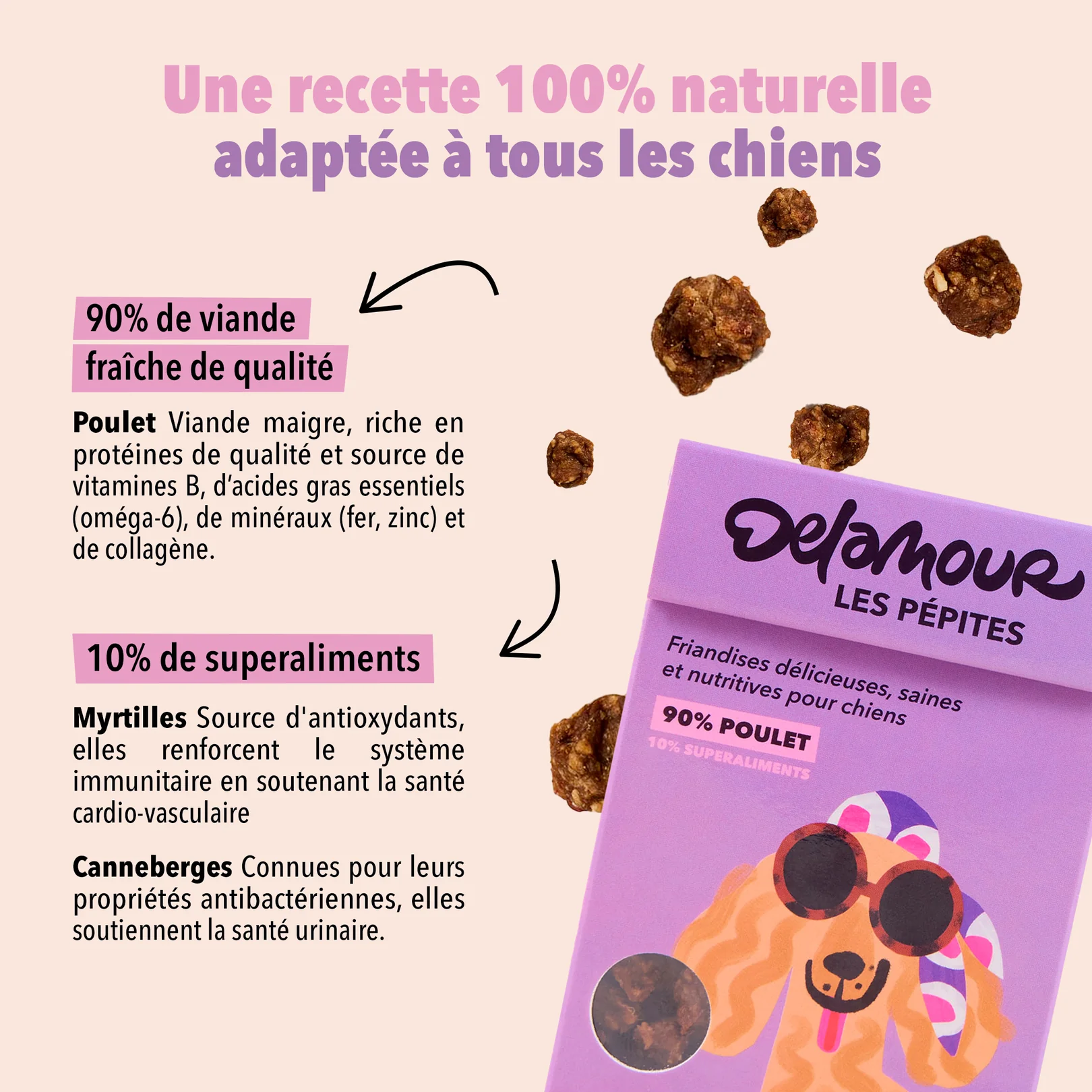 Friandises 100% naturelles au poulet – Image 3