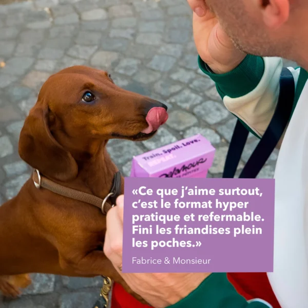 Friandises 100% naturelles au poulet – Image 4