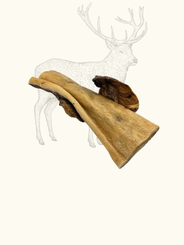 Peaux de cerf – Image 3
