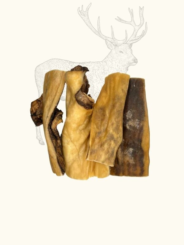 Peaux de cerf – Image 4
