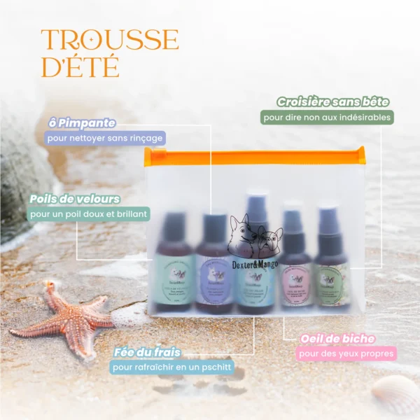 Trousse d'été avec 5 mini essentiels – Image 2