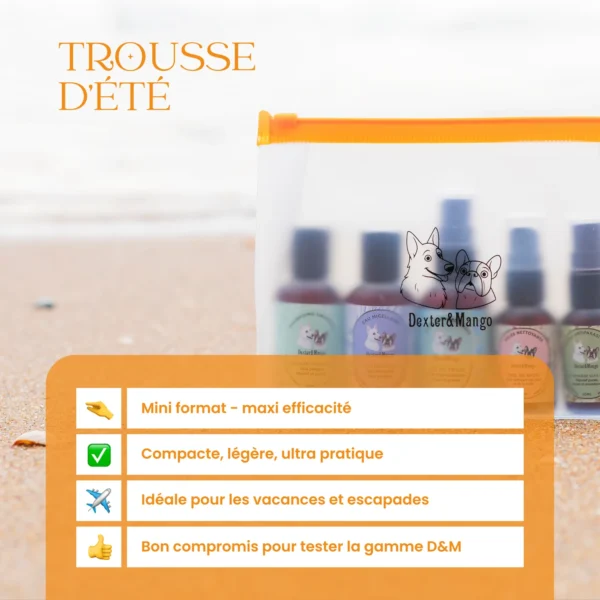 Trousse d'été avec 5 mini essentiels – Image 3