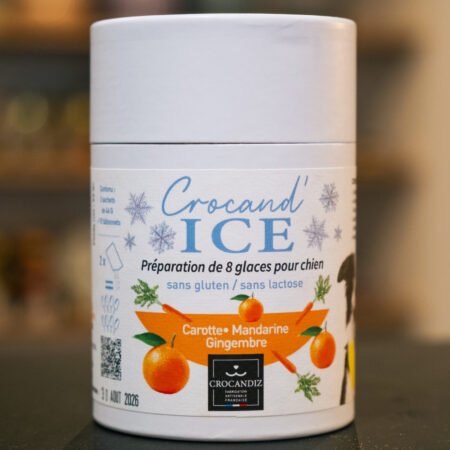 Glace Carotte & Mandarine