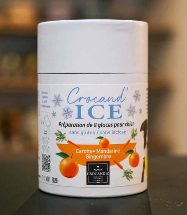 Glace Carotte & Mandarine