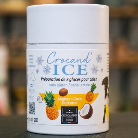 Glace Ananas & Coco