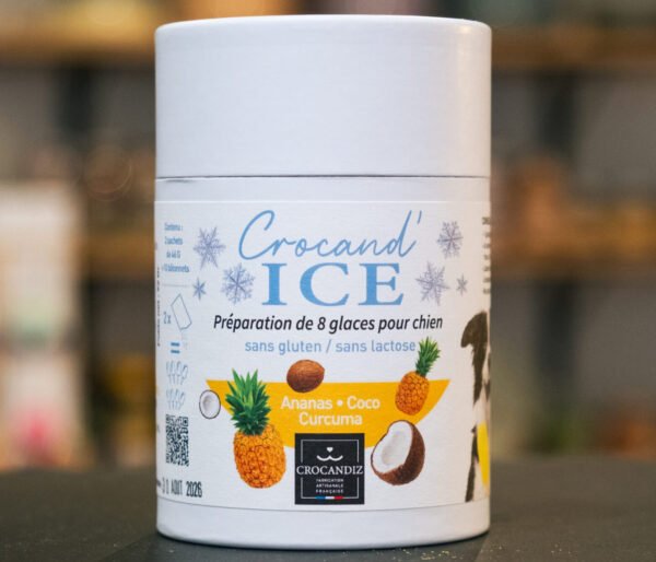 Glace Ananas & Coco