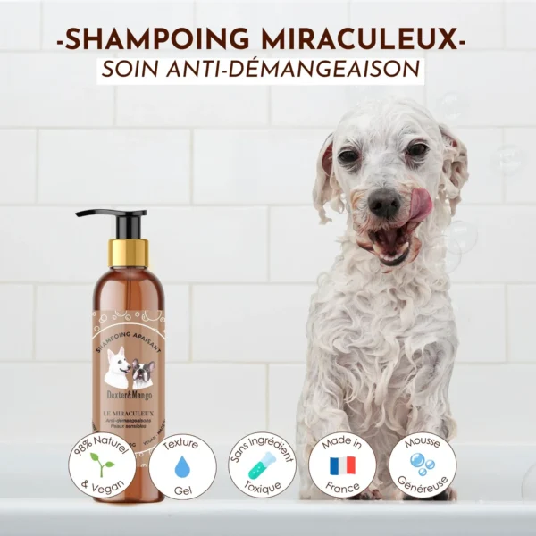 Shampoing anti-démangeaisons Le Miraculeux – Image 2