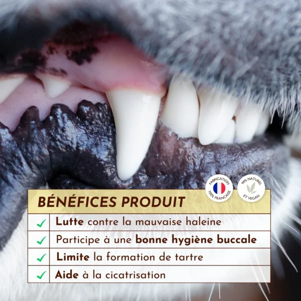 Spray buccal Souffle Polaire – Image 3