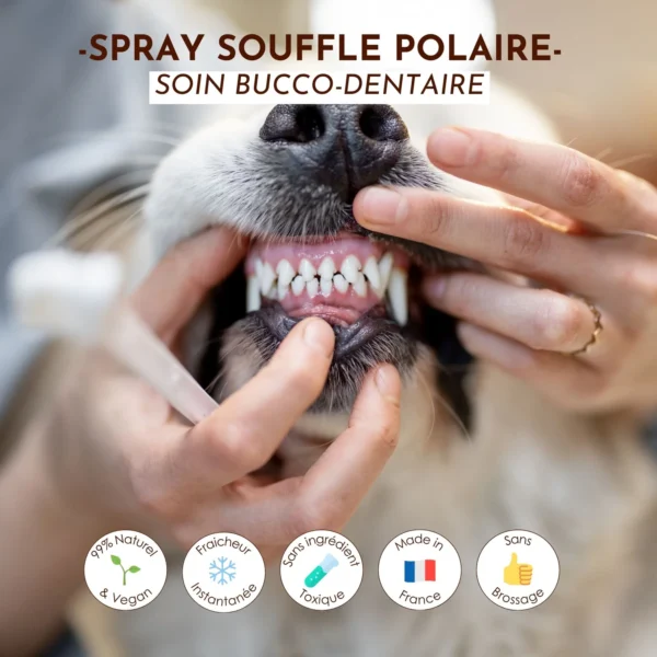 Spray buccal Souffle Polaire – Image 2